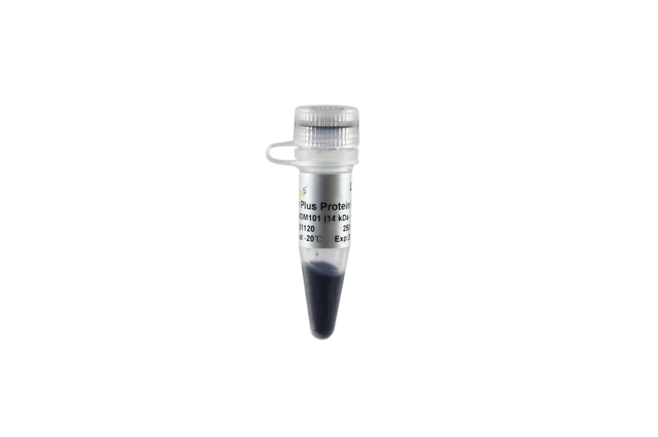 Окрашенные маркеры молекулярной массы белков Blue Plus Protein Marker (14-100 kDa), 2х250 мкл, 2×250 мкл