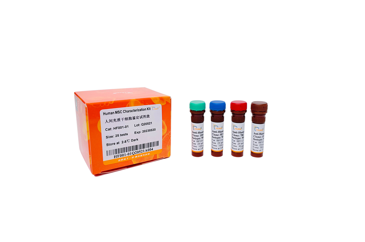 Набор для характеризации клеток MSC Human MSC Characterization Kit, 50 реаций