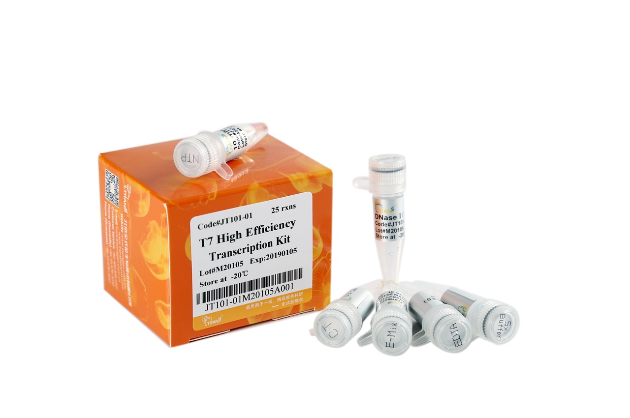 Набор для синтеза РНК T7 High Efficiency Transcription Kit, 20 мкл x 100 реакций