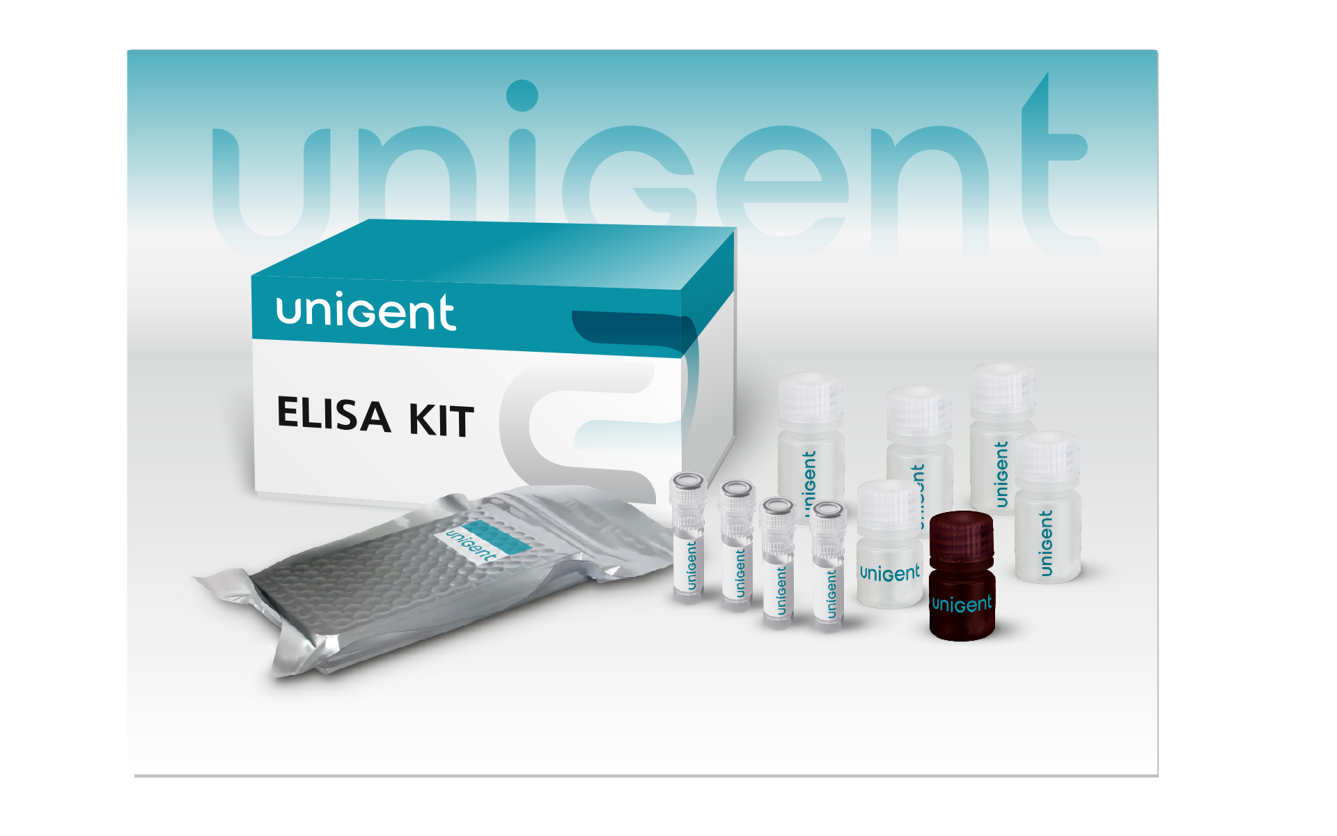 Human Tenomodulin(TNMD) ELISA Kit, 96 тестов - фото 1