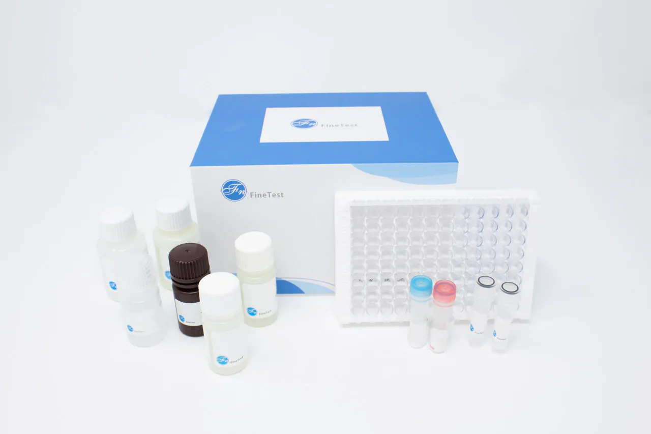 Rat Avpr1b (Vasopressin V1b receptor) ИФА набор, 96 тестов - фото 1